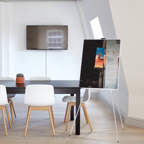 Mounted Posters/Prints