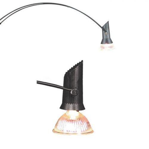 Lumina-6-Display-Light