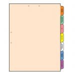 Multi-Tab Folders