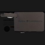 luggage-tag-2
