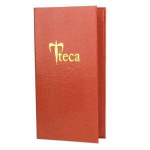 teca-389063