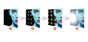 Vector Frame Dynamic Light Boxes